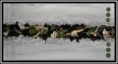 /album/tableaux-vegetaux-stabilises/amour-vegetal-copie-jpg1/